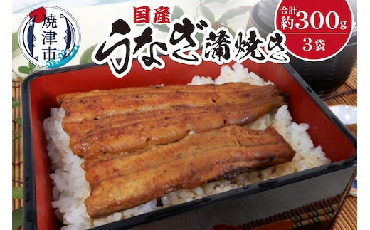 a18-029 国産 うなぎ 蒲焼き 約100g×3袋
