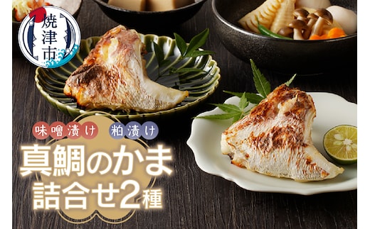 a10-610 焼津ぬかや真鯛のかま味噌漬け＆粕漬け