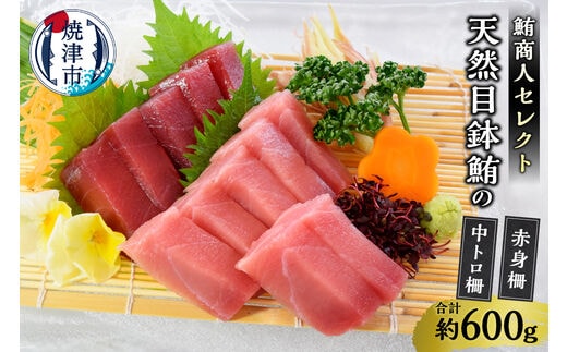 a20-418 鮪商人セレクト 天然目鉢鮪の中トロ柵赤身柵