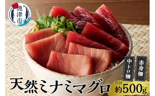 a20-427 天然南鮪 中トロ・赤身 刺身二種盛り