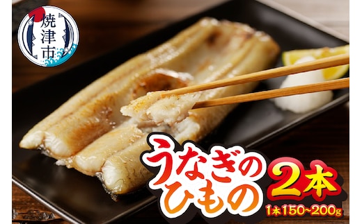 a15-647 珍しい「ウナギのひもの」【静岡産】