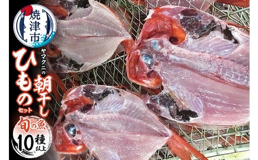 a30-176 【チルドでお届け】朝干しひものセット10種以上！