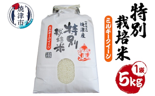 a14-152 新米 令和8年産 特別栽培米 ミルキークイーン 5Kg 農家のお米