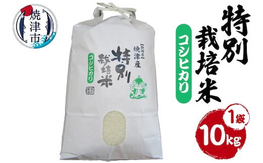 a31-016 新米 令和8年産 特別栽培米 こしひかり 10Kg 農家のお米