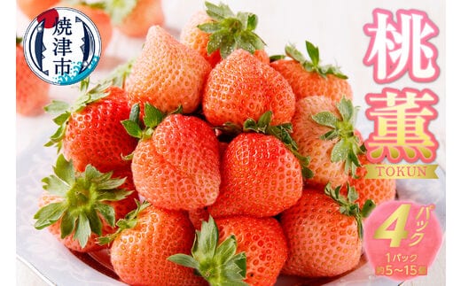 a10-586 いちご 「 桃薫 」～ 桃の香り ＆ 食感 ～4パック