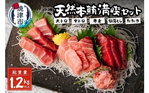 a50-096 天然本鮪満喫セット