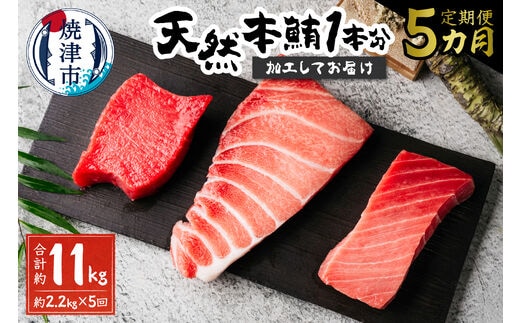 b500-011 【定期便5回】天然本鮪 一本分を加工してお届け