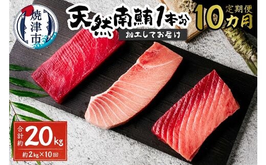 b650-003 【定期便 10回】天然南鮪1本分(約2kg)