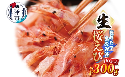 a10-1249 生桜えび100g×3パック 合計300g
