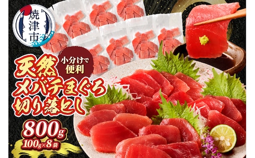 a10-1037 天然 焼津 メバチマグロ 切り落とし 刺身 小分け 約100g×8パック