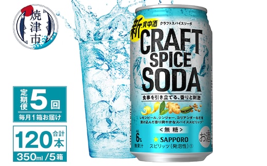 T0077-1305 【定期便5回】サッポロ クラフトスパイスソーダ 350ml×24本