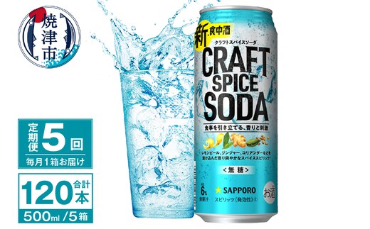 T0078-1705 【定期便5回】サッポロ クラフトスパイスソーダ 500ml×24本