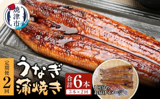a50-152 【定期便】静岡県産 うなぎ蒲焼き 3本×2回