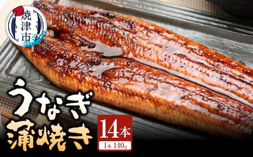 a90-010 静岡県産 うなぎ蒲焼き 14本