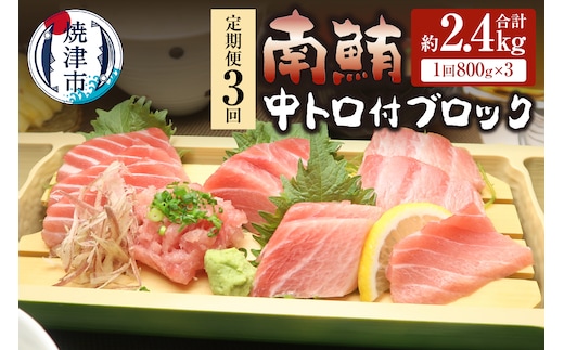 b120-012 【定期便3回】南鮪 中トロ付ブロック 8人前(約800g) ×3回