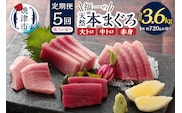 b200-037　【定期便】 天然本まぐろセット 5回隔月で届け