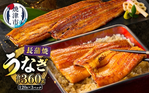 a20-129 静岡うなぎ漁協 うなぎ蒲焼(長焼)セット