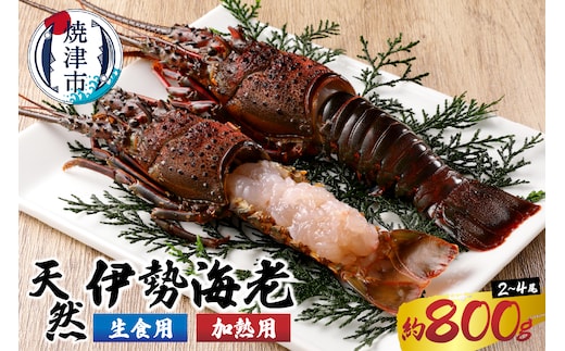 a40-075 伊勢海老 三昧セットA 刺身用＋焼物用