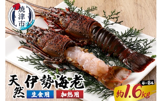 a80-031 伊勢海老 三昧セットB 刺身用＋焼物用