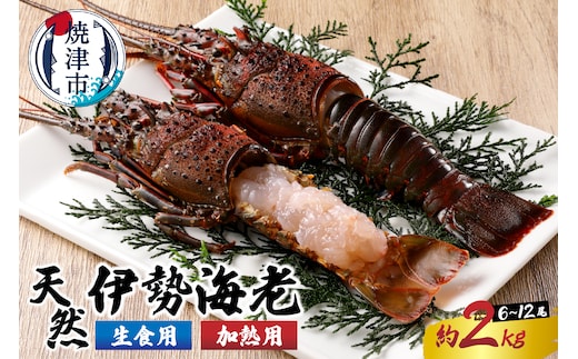 b100-035 伊勢海老 三昧セットC 刺身用＋焼物用