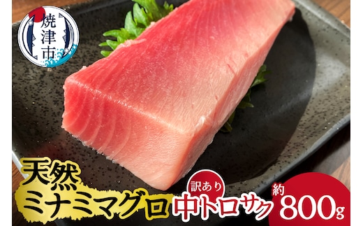 a20-327 天然ミナミマグロ 訳あり 中トロ(サク) 約800ｇ入り
