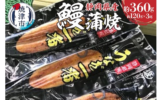 a20-129 静岡うなぎ漁協 うなぎ蒲焼(長焼)セット