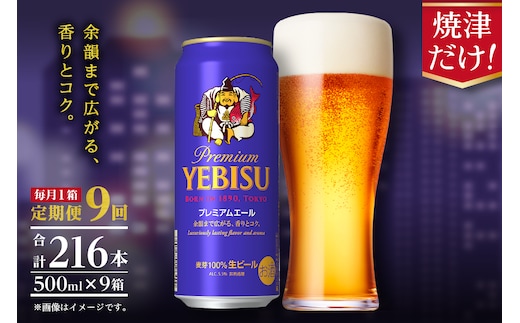 T0093-2209 【定期便9回】エビスプレミアムエール500ml缶×1箱（24本）