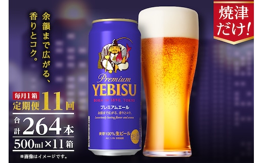 T0093-2211 【定期便11回】エビスプレミアムエール500ml缶×1箱（24本）