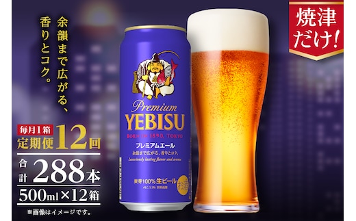 T0093-2212 【定期便12回】エビスプレミアムエール500ml缶×1箱（24本）