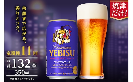 T0107-1011 【定期便】エビス プレミアムエール 350ml×12本 11回