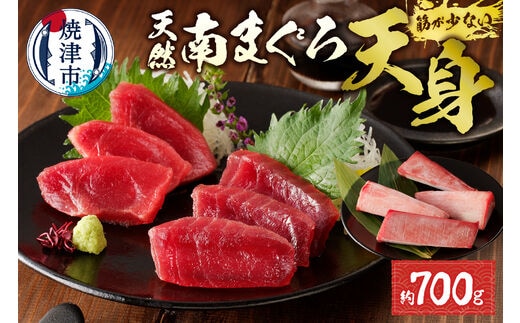 a15-459 赤身好き必見 天然南まぐろ 筋が少ない天身 約700g