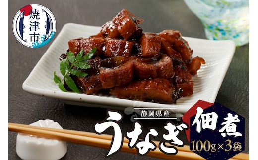 a10-930 うなぎ佃煮100g×3パック