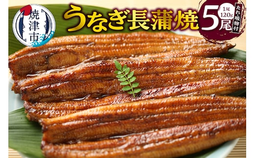 a30-307 うなぎ120ｇ長蒲焼×5、たれ（山椒付）、吸物セット