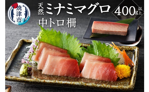 a15-565 キボシ水産 天然 南鮪 中トロ 柵 刺身 400g以上