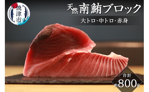 a25-045 キボシ水産 天然 南鮪 ブロック 大トロ 中トロ 赤身 約800g