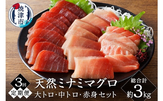 b100-066 【定期便3回】キボシ水産 天然 南鮪 大トロ 中トロ 赤身食べ比べ 約1kg×3回