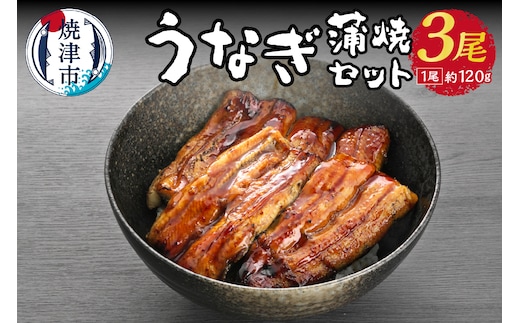 a21-013 うなぎ 蒲焼 セット 約120g×3尾 海鮮うなぎ専門店 銀鮮