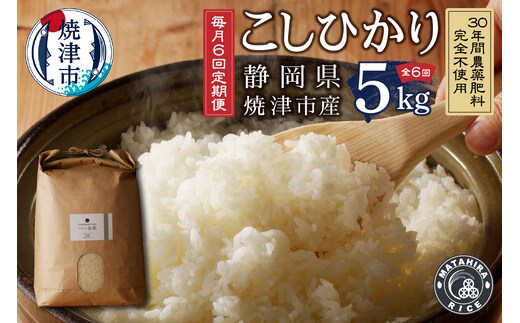 b12-041 【定期便6回】30年間農薬 肥料不使用 コシヒカリ 白米