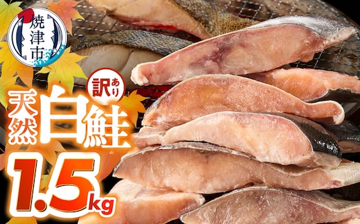 a10-1177 訳あり！天然 白鮭 甘口 切身 約1.5kg バラ凍結 大袋ジッパー
