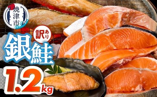a10-1309 訳あり！ 銀鮭 切身 約1.2kg 便利なジッパーバック入り