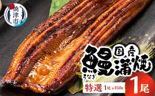 a10-1293 特選 国産うなぎ蒲焼 約150g