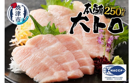 a20-373 焼津 本マグロ 大トロ 1本約250g 冷凍 F1