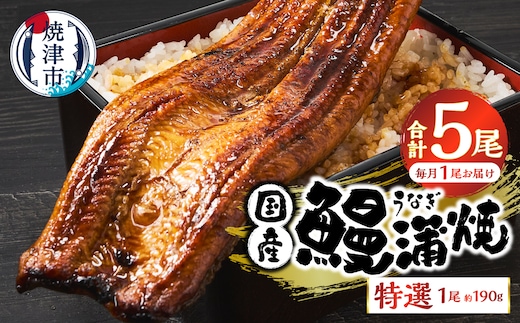 a60-043 【定期便 5回】特選 国産うなぎ蒲焼定期便 約190g×5回