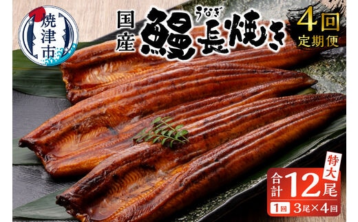 b100-058 【定期便4回】 鰻 長焼き【定期便】
