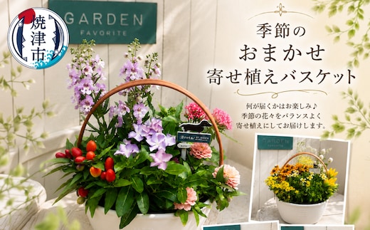 a10-1174 季節のおまかせ寄せ植えバスケット