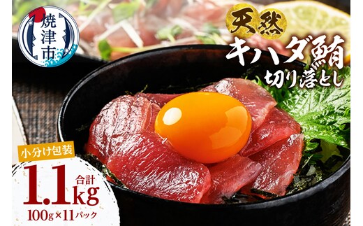 a14-114 天然 キハダマグロ 一口サイズカット 刺身 小分け セット 赤身 1パックあたり 100g 海鮮丼 刺身 寿司 漬け丼 焼津 海の極 1.1kg（100g ×11パック）