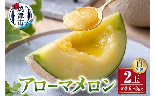 a32-026 メロン 温室 アローマ 果物 ハウス 白等級 2玉 GABA