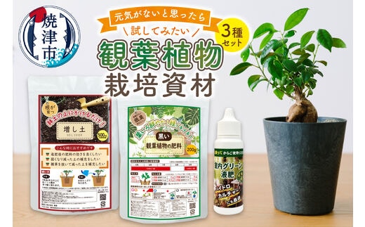 a12-170 観葉植物栽培資材セット 肥料 液肥 園芸