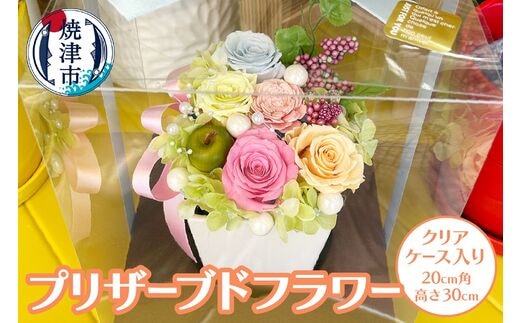 dショッピングふるさと納税百選 | 『花・苗木』で絞り込んだ飯塚市の