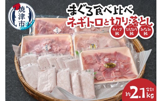 a22-062 まぐろ食べ比べセット約2.1Kg 焼津 ネギトロ 鮪切り落とし キハダ びんちょう みなみ鮪
